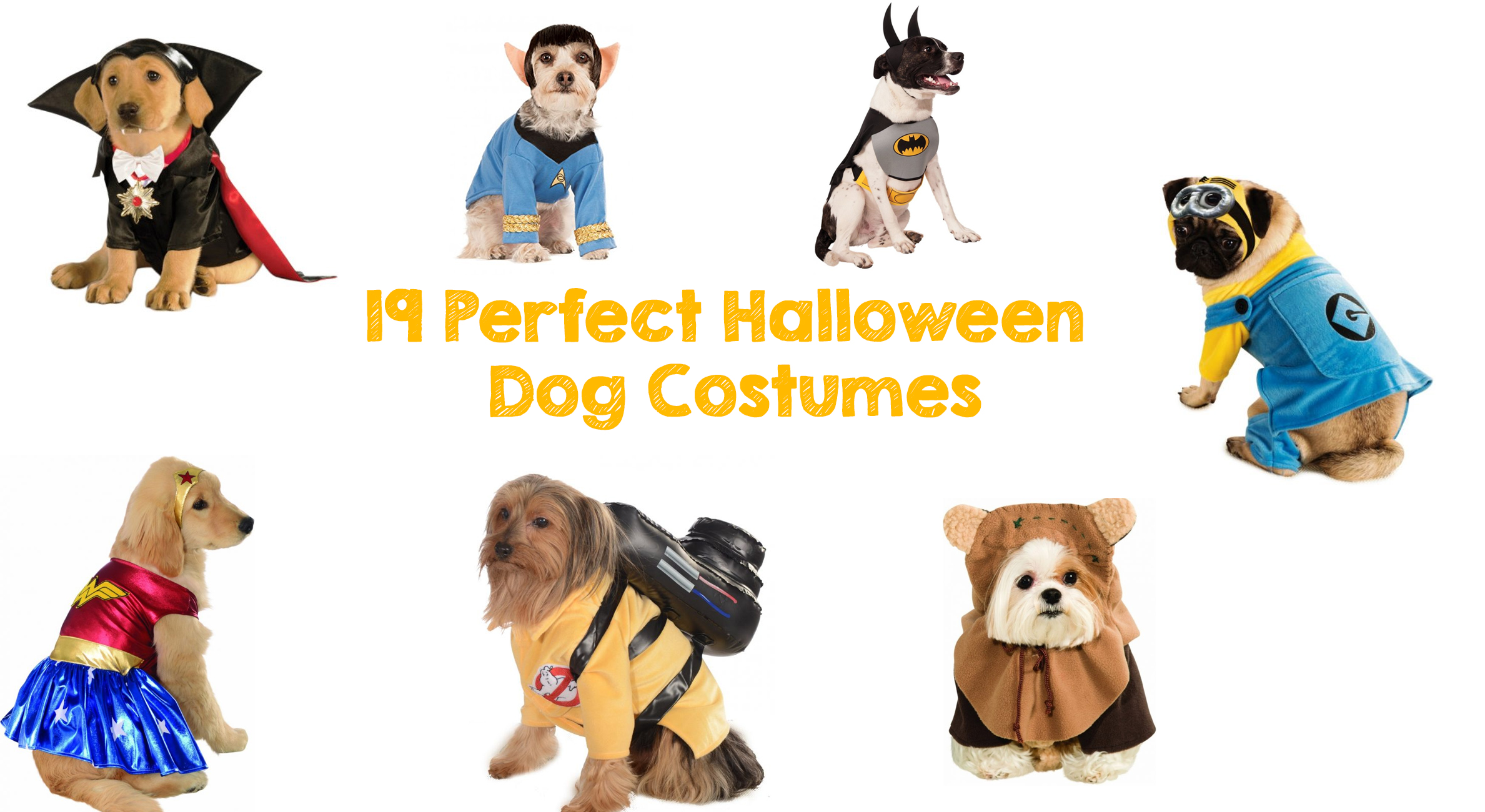 19 Perfect Halloween Dog Costumes