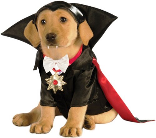 Dog Dracula Costume