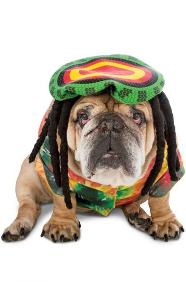 Jamaican Rasta Dog Costume