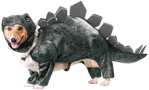 Stegosaurus Costume