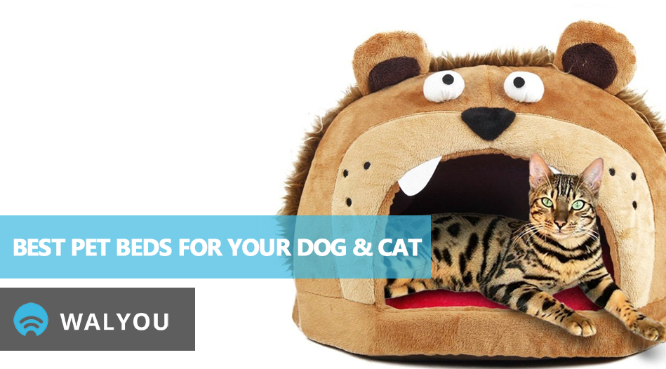 7-funny-pet-palaces-to-buy-your-cat-dog-this-christmas