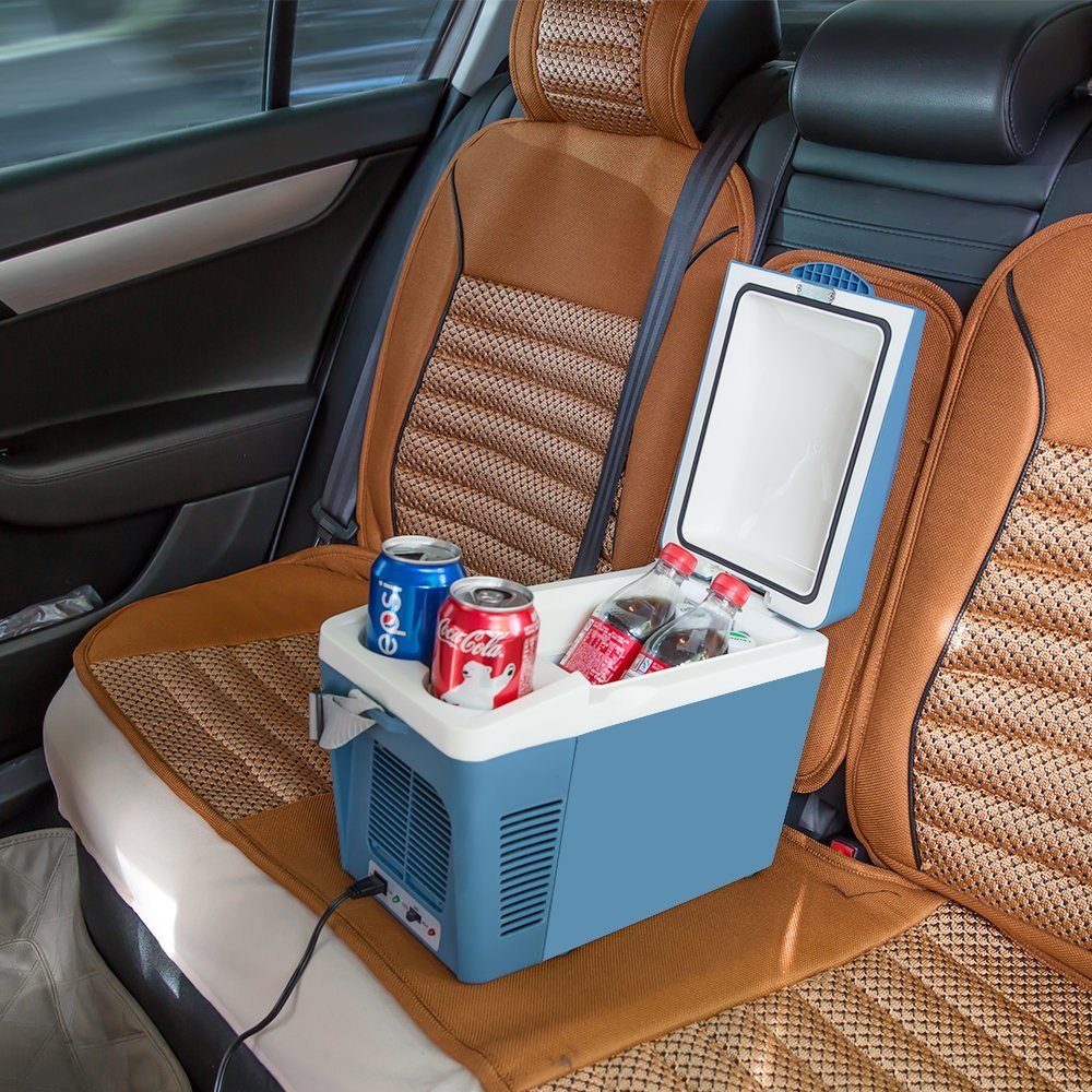 cool thermoelectric personal cooler and wormer 