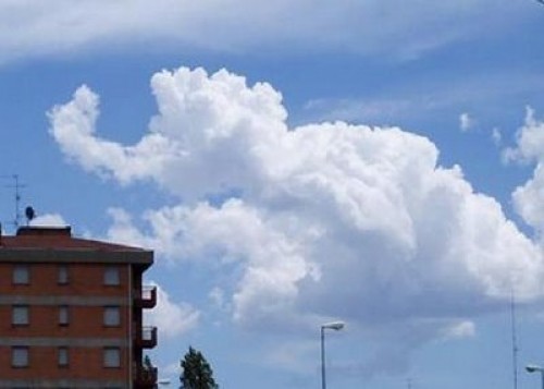 cloud pets elephant