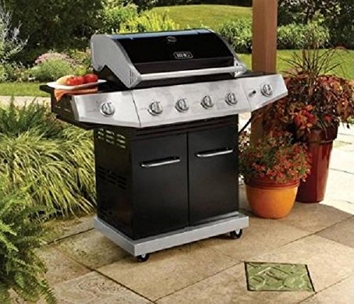 15 Best Gas Grills For The Perfect BBQ