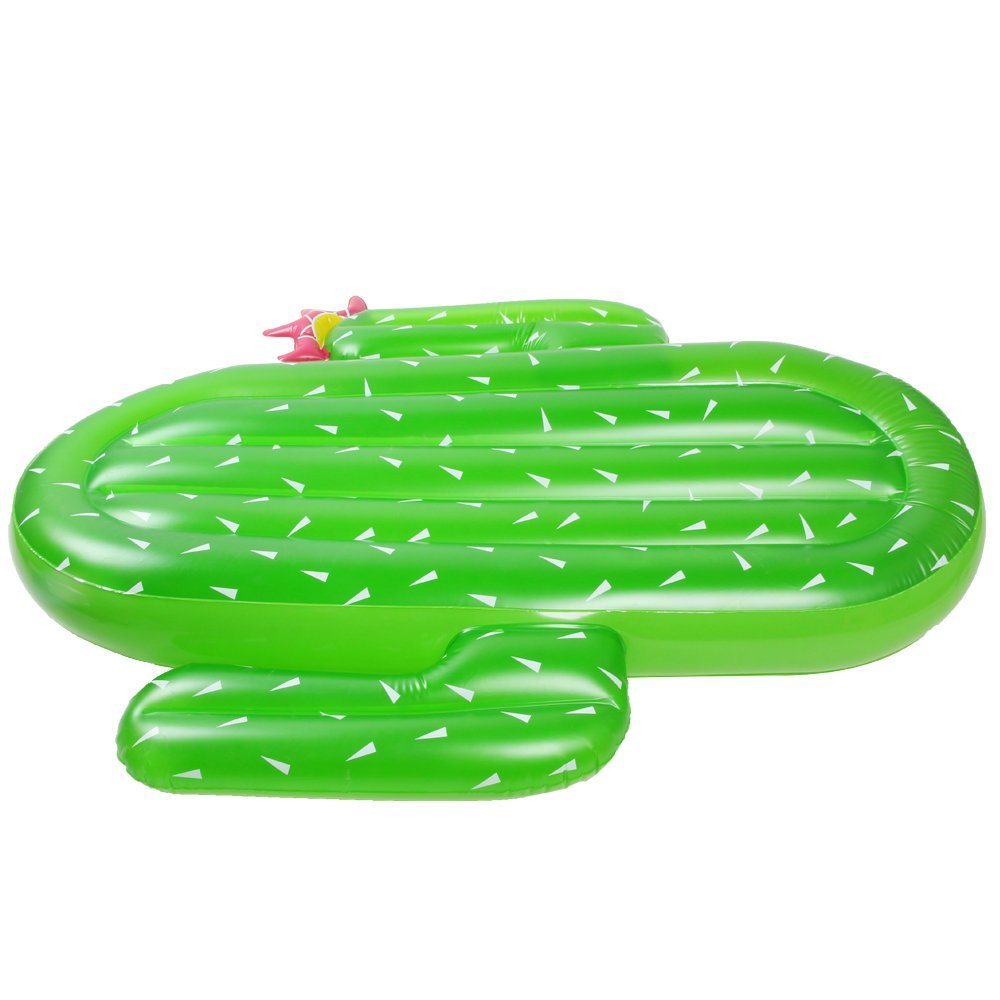 cactus pool floats