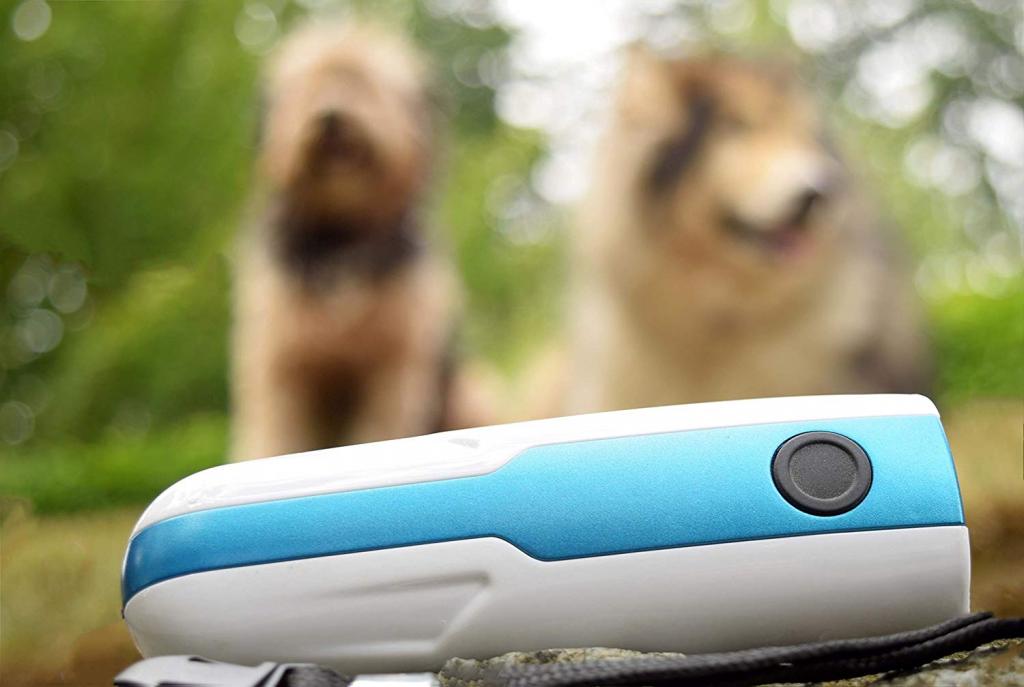 15 Best Dog Gadgets for National Puppy Day Walyou