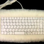 computer-keyboard-cat-fur