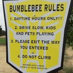 bumblebee-transformer-rules