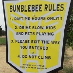 bumblebee-transformer-rules1