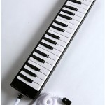 the-melodica-remembrance-of-the-forgotten-1