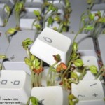 computer keyboard plant