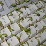 green computer keyboard