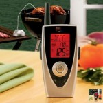 remote-thermometer-monitor
