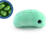 bacteria flu plush toy