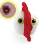 cute chicken pox plush toy