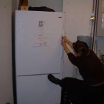 Backwards Refrigerator