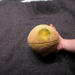 Death Star Melon (2)