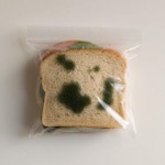 Mildew Lunch Bag