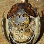 mechanical fixed turtle sculpture3