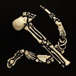 Real Skeleton Art (3)