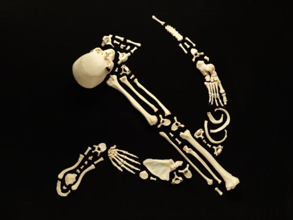 Real Skeleton Art (2)