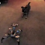 puppy vs robot thumb image