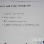 Chrome Web Store coming soon
