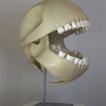 Pac Man Skull