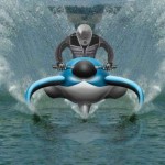 dolphin watercraft