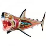 3d great white shark anatomy design image