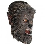 The Wolfman Mask