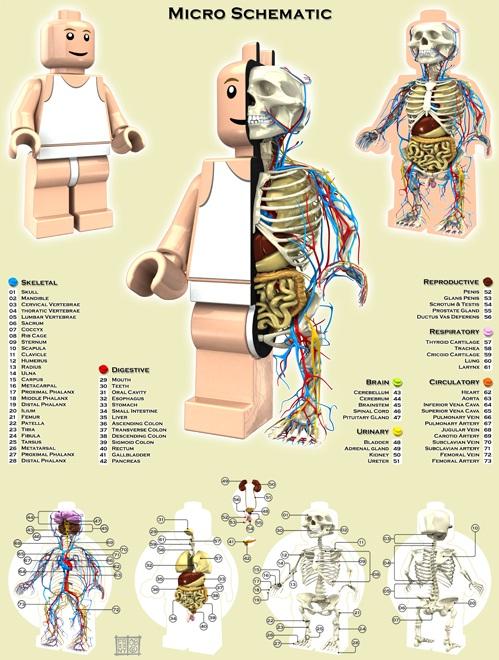 super mario anatomy design image