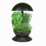 AeroGrow AeroGarden 3