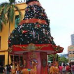 christmas trees reindeer carousel