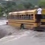 brave stupid bus driver