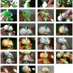 Yoshi Anatomy Progress