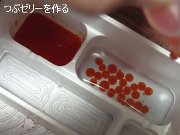 Japanese Sushi Candy Art Kit