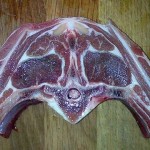 darth-vader-pork-chop