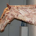 bacon horse