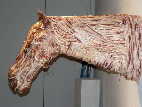 bacon horse