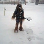 funny chewbacca snow