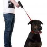 Retractable Dog Snap Leash 3