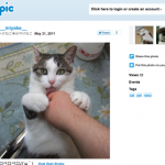 Twitter to launch own photo sharing service? Twitpic Screenshot