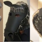 Horse Mask 2