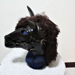Horse Mask 3