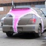 Pink Frilly Thong Car Cover