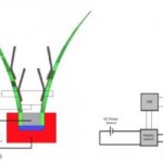 robot venus fly trap schematic