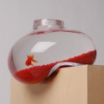 Distorted Fish Tank