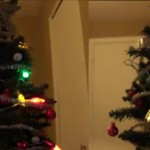 funny Christmas Tree