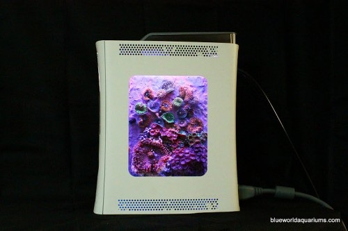 xbox 360 aquarium mod diy coral